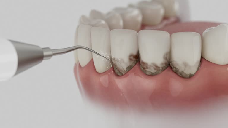 Reliable Dental contractor in Evans, CO by Dentist Open Now